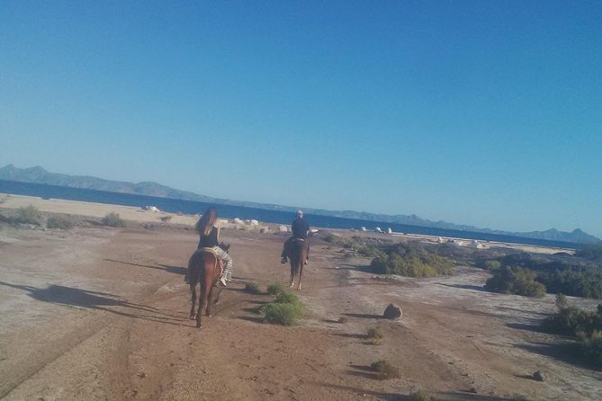 Baja Desert Horseback Riding Tour - Learning about local life, not just scenery