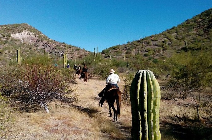 Baja Desert Horseback Riding Tour - The food stop: more than a quick drink
