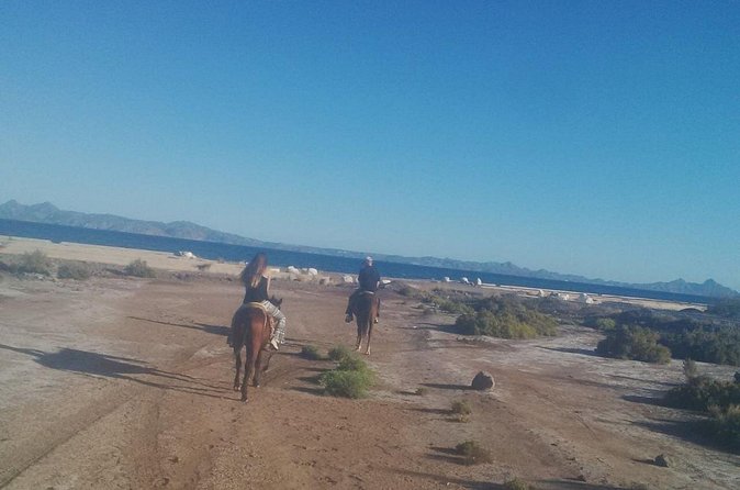 Baja Desert Horseback Riding Tour - Who will enjoy this ride most