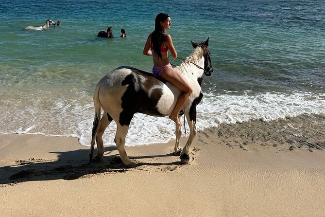 Bali Beach Horse Riding combo with waterfall All Inclusive - Why Combine Horse Riding With a Waterfall?