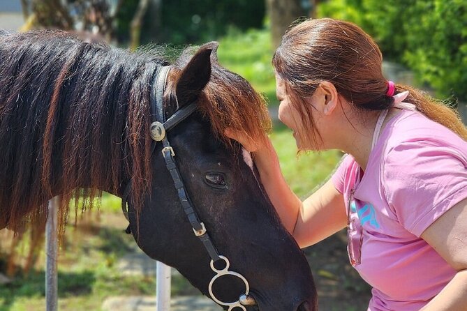 Bali Beach Horse Riding combo with waterfall All Inclusive - Who Will Enjoy This Most?