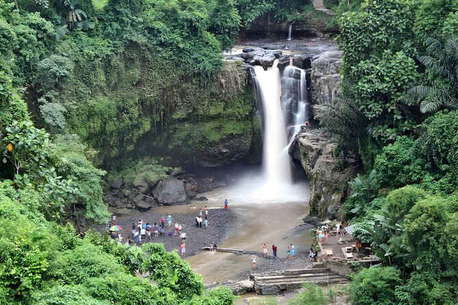 Bali Horse Riding Activity and Full-Day Trip in Ubud - Walking beneath the trees at Ubud Monkey Forest