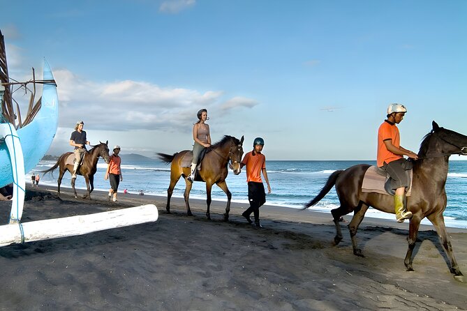 Bali Horse Riding and ATV Ride Packages : Best Quad Bike Trip - Key points at a glance
