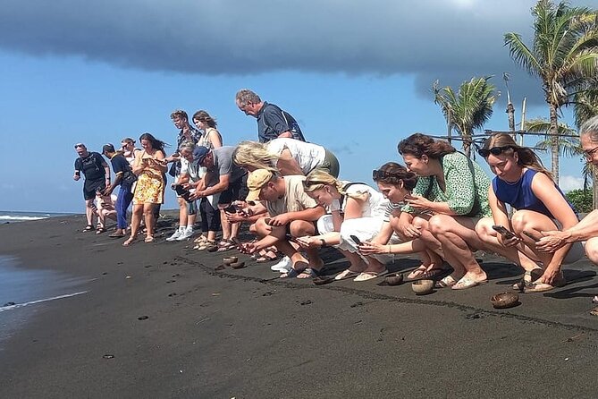 Bali Horse Riding and Turtle Release at Saba Beach - Why this Bali day trip works