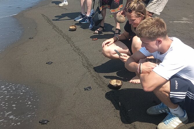 Bali Horse Riding and Turtle Release at Saba Beach - Cooling off at Tegenungan Waterfall