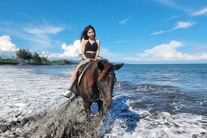 Bali Horse Riding and Turtle Release at Saba Beach - Private transport and guide quality
