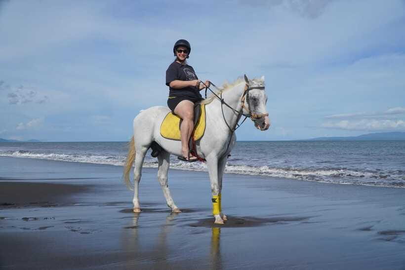 Bali: Horse Riding Experience in Sanur (1 Hour ride) - What beginners can expect from the horses