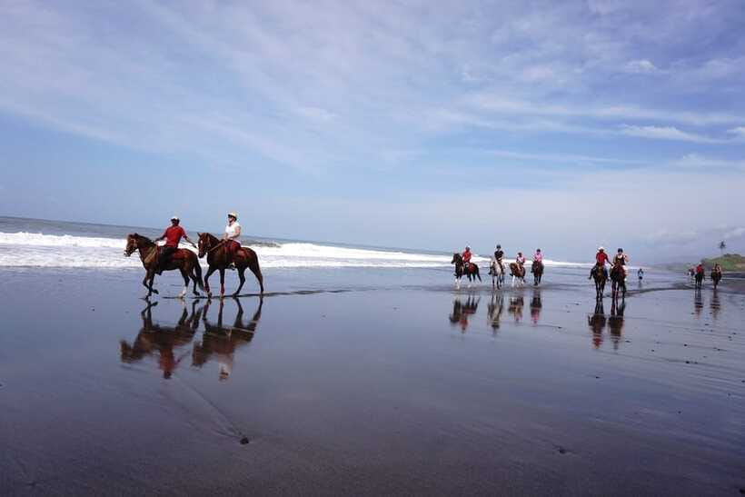 Bali: Horse Riding on Pigstone Beach and in the Rice Fields - Who Will Enjoy This Ride Most?