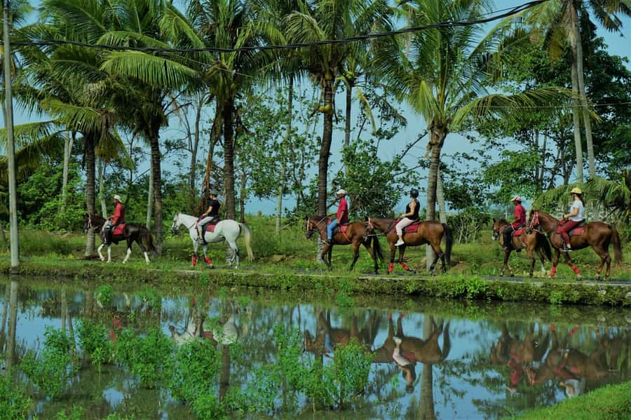Bali: Horse Riding on Pigstone Beach and in the Rice Fields - Riding Through Working Villages and Rice Paddies