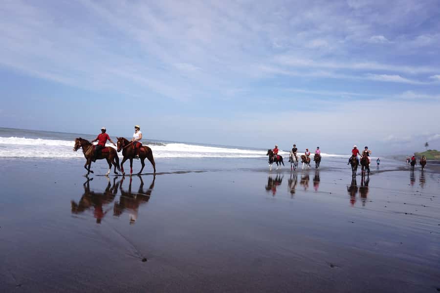 Bali: Horse Riding on Pigstone Beach and in the Rice Fields - What the Guides Do During the Ride