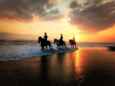 Horse Riding on Pigstone Beach and in the Rice Fields