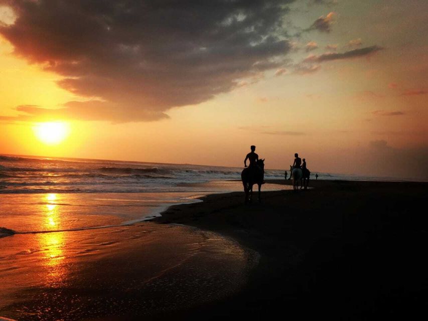 Bali: Horse Riding on Pigstone Beach and in the Rice Fields - Is $56 a Fair Price?