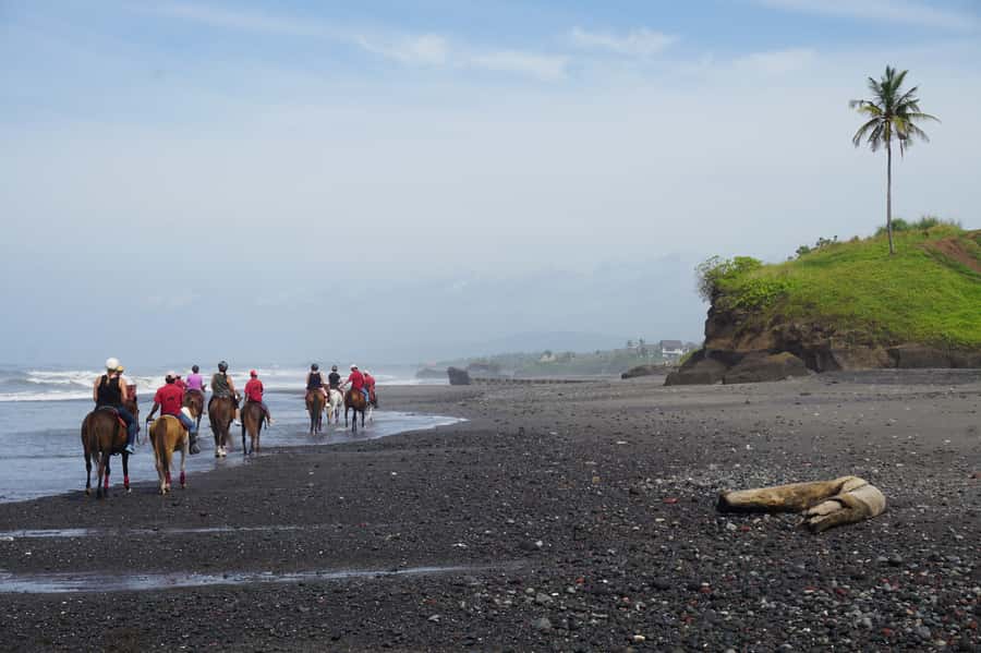 Bali: Horse Riding on Pigstone Beach and in the Rice Fields - Safety, Weight Rules, and What to Wear