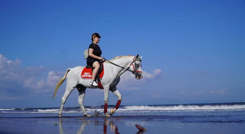 Bali: Horse Riding on the beach experience with free shuttle - What the Sanur horseback ride is really like