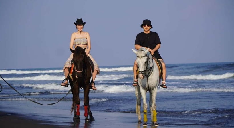 Bali: Horse Riding on the beach experience with free shuttle - Animal care and handling