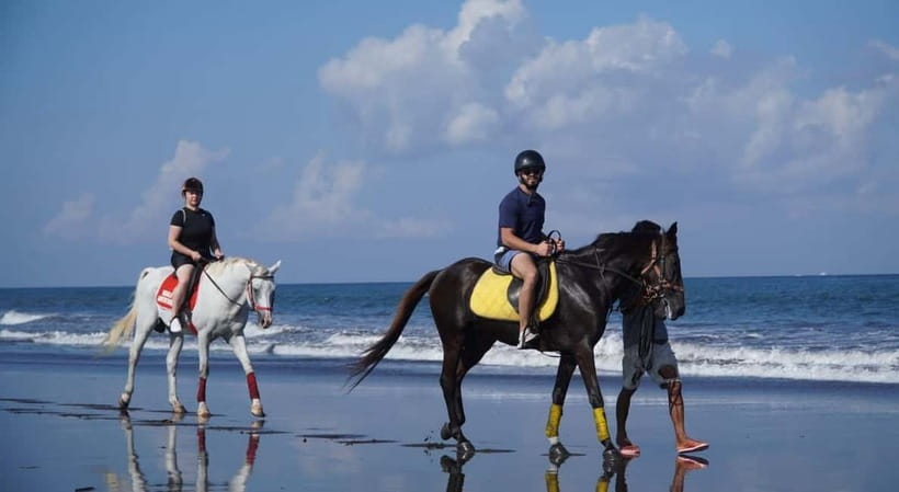 Bali: Horse Riding on the beach experience with free shuttle - How much value do you get for $44?