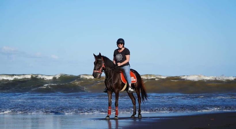 Bali: Horse Riding on the beach experience with free shuttle - Transport, timing, and what to bring