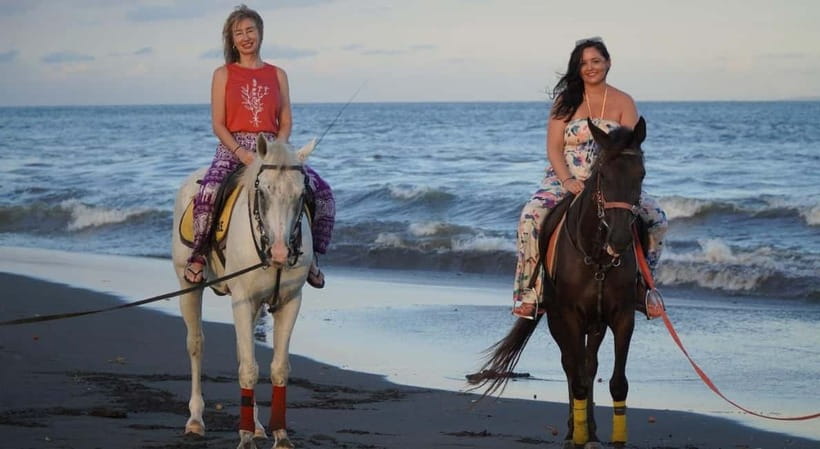 Bali: Horse Riding on the beach experience with free shuttle - Who should book this Sanur ride?