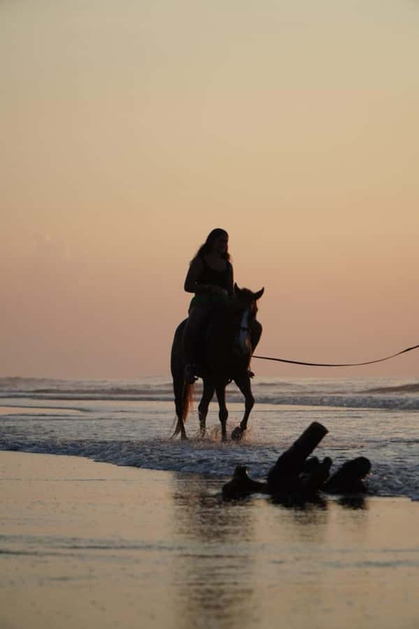 Bali: Horse Riding Sanur Beach Experience with Transport - Key points to know before booking