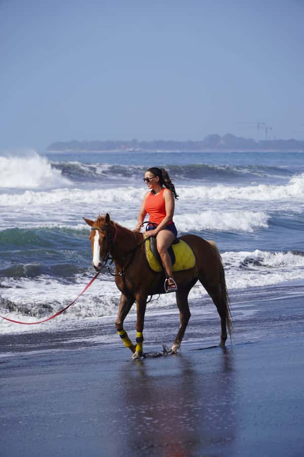 Bali: Horse Riding Sanur Beach Experience with Transport - Riding the black sand track for up to one hour