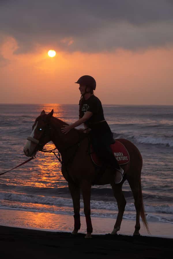 Bali: Horse Riding Sanur Beach Experience with Transport - Transport from five Bali areas