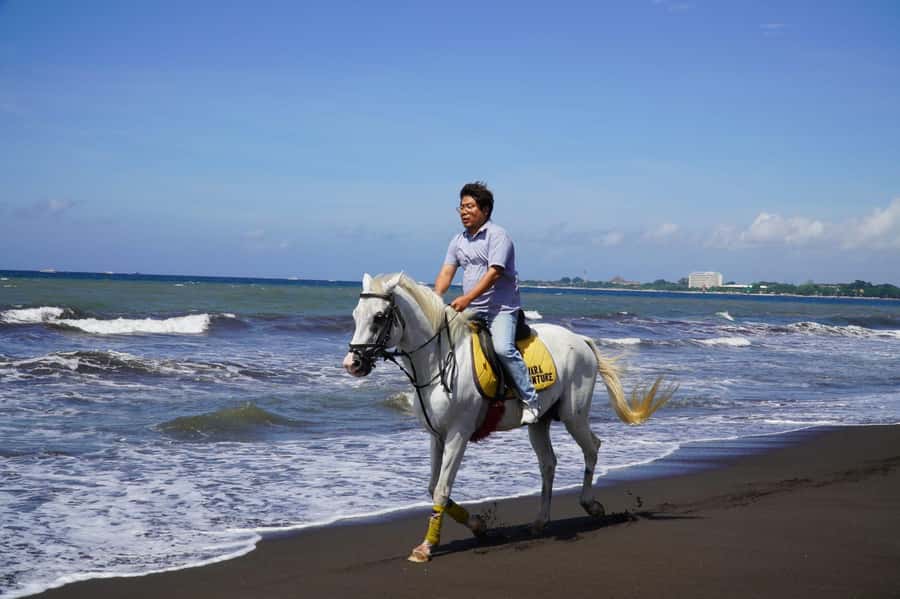 Bali: Horse Riding Sanur Beach Experience with Transport - Is $36 a fair price?