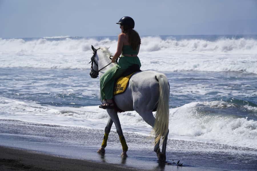 Bali: Horse Riding Sanur Beach Experience with Transport - Meeting the horses and getting ready