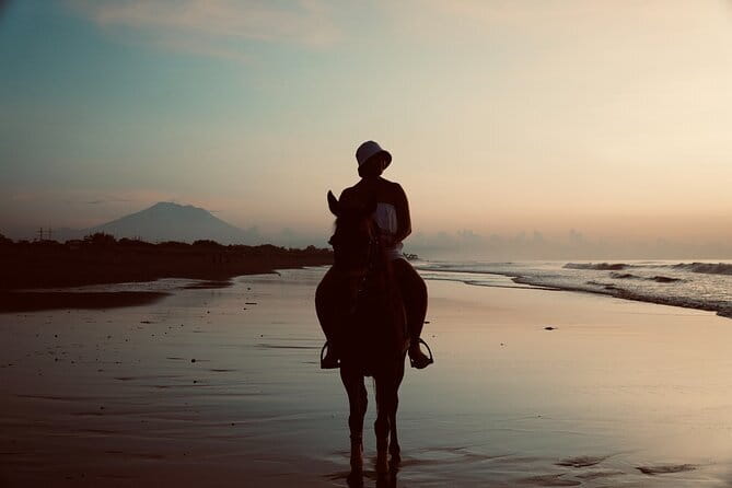 Bali Horse Riding Sanur Beach include Transport - A short ride through Sanur’s countryside