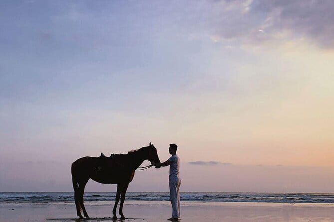 Bali Horse Riding Sanur Beach include Transport - Safety equipment and riding ability
