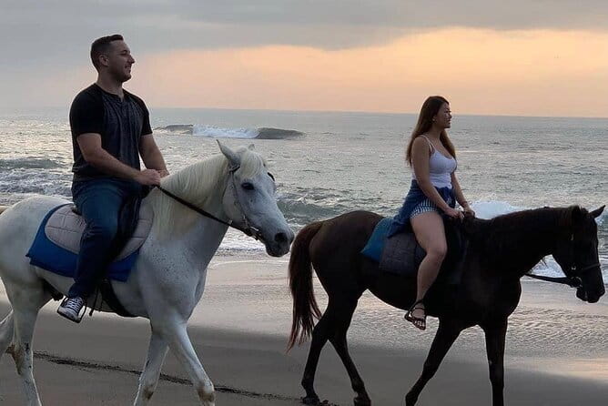 Bali Horse Riding Seminyak Beach Experience Private Transport - Quick points before you book