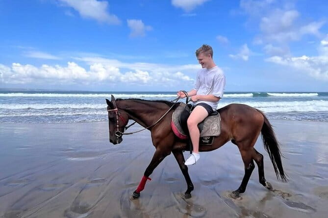 Bali Horse Riding Seminyak Beach Experience Private Transport - Guide quality and animal care