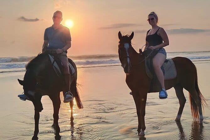 Bali Horse Riding Seminyak Beach Experience Private Transport - Starting at Mesari Stables on Jalan Abimanyu