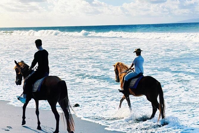 Bali Horse Riding Trot & Canter Saba Beach with Local Temple - Meeting the horses and getting ready