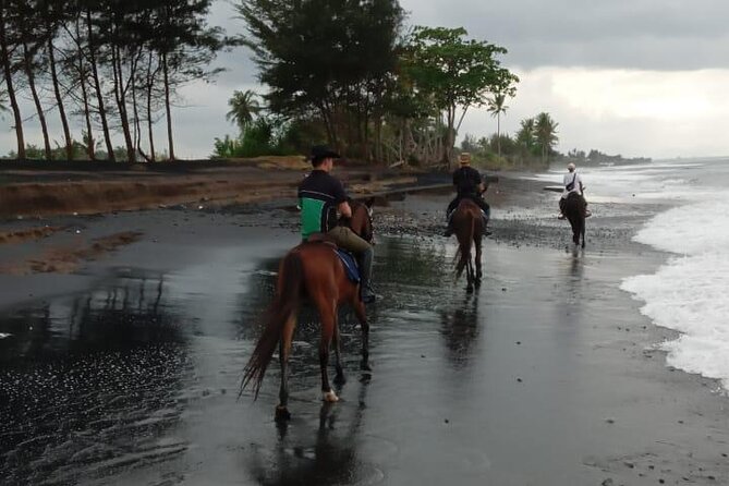 Bali Horse Riding Trot & Canter Saba Beach with Local Temple - Riding along the black-sand shoreline
