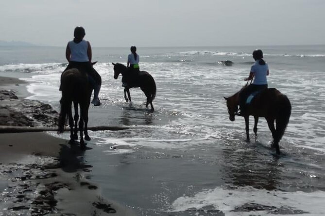 Bali Horse Riding Trot & Canter Saba Beach with Local Temple - What the $39 price gets you