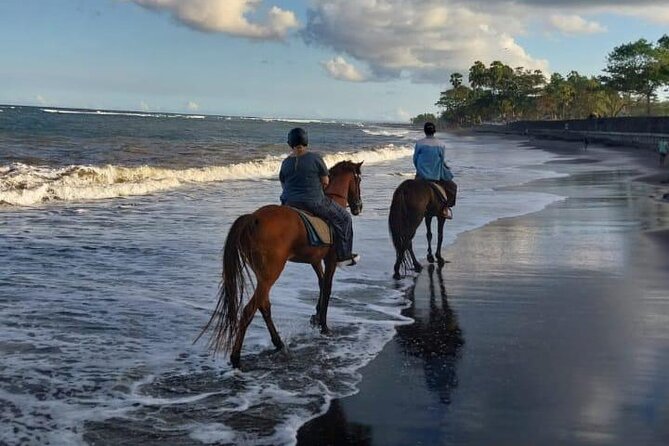 Bali Horse Riding Trot & Canter Saba Beach with Local Temple - Who will enjoy this most