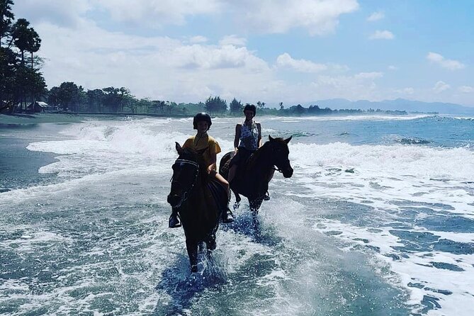 Bali Horse Riding Trot & Canter Saba Beach with Local Temple - Arriving at the Saba Beach riding center