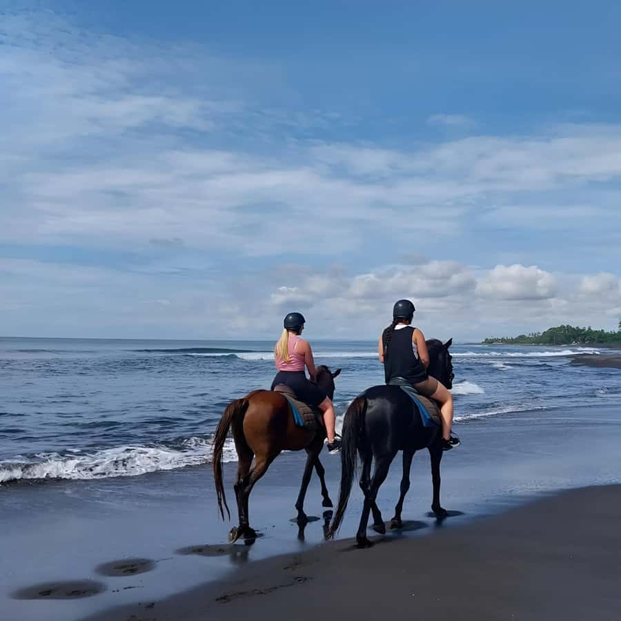 Bali: Horse Riding & Turtle Release Experience at Saba Beach - Who will enjoy this most