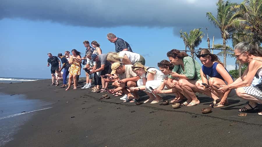 Bali: Horse Riding & Turtle Release Experience at Saba Beach - Horseback riding beside Saba Beach