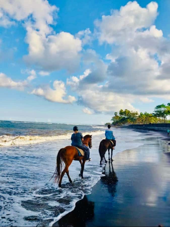 Bali: Horseback Tour Through Saba Beach and Local Temples. - Meeting your horse and learning the basics