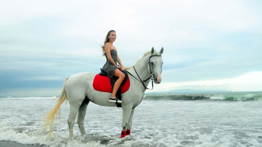 Bali: Sanur Horse Riding for Beginner Experience - Key points at a glance