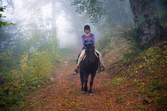 Balkan Horse Riding - Glozhene Monastery Ride - Riding through the century-old beech forest