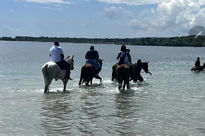 Bamboo Rafting and HorseBack Riding Excursion in OchoRios Jamaica - Starting with pickup in and around Ocho Rios