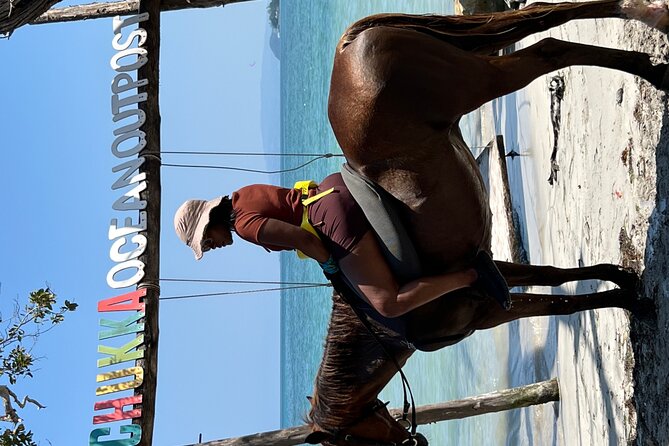 Bamboo Rafting & Horseback -dunns river Transportation Included - Limestone Massage and Jungle Socks