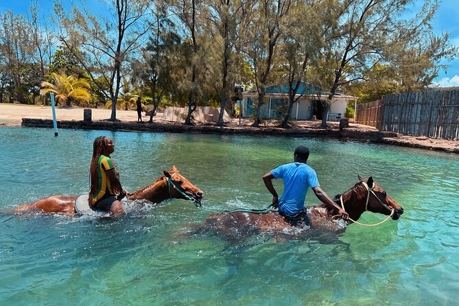 Bamboo Rafting & Horseback Ride n Swim Guided Tour in Montego Bay - Is $125 a fair price?
