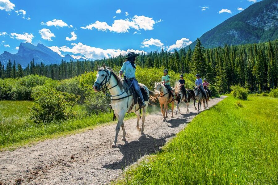 Banff National Park: 1-Hour Bow River Horseback Ride - Price and Value at $78