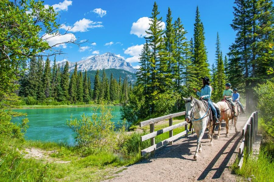 Banff National Park: 1-Hour Bow River Horseback Ride - Weather, Timing, and Cancellation Details