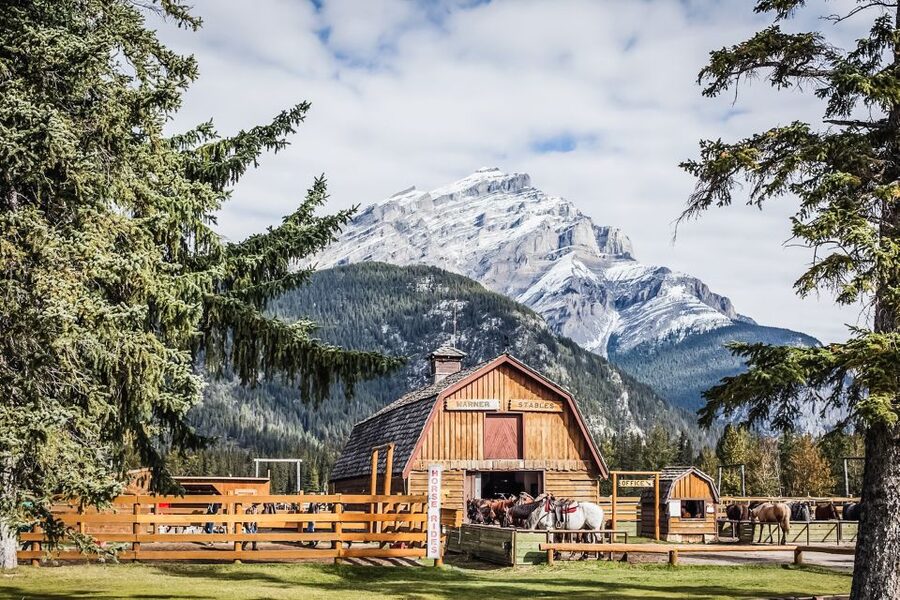 Banff National Park: 1-Hour Bow River Horseback Ride - Why First-Time Riders Usually Feel at Ease