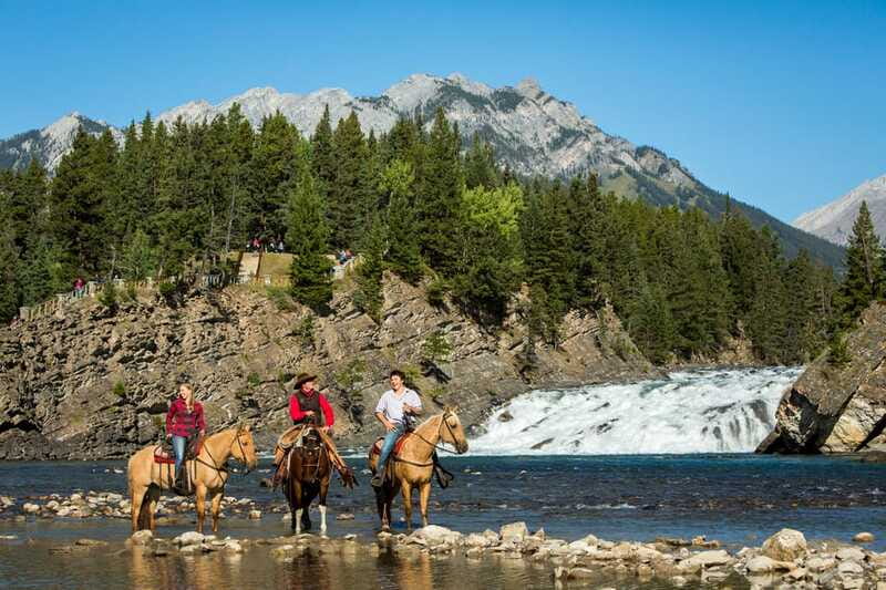 Banff National Park: 1-Hour Spray River Horseback Ride - The wooded climb toward Sulphur Mountain