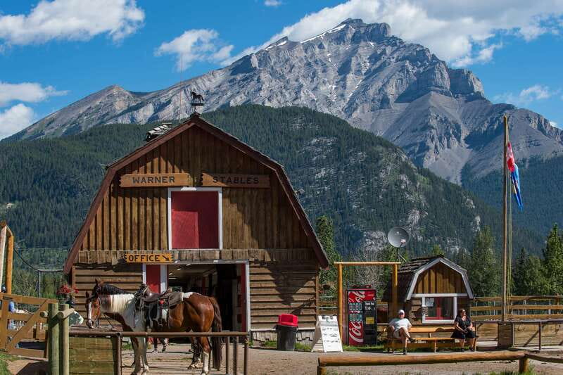Banff National Park: 2-Hour Sundance Loop Horseback Ride - Climbing Sulphur Mountain to Windy Knoll